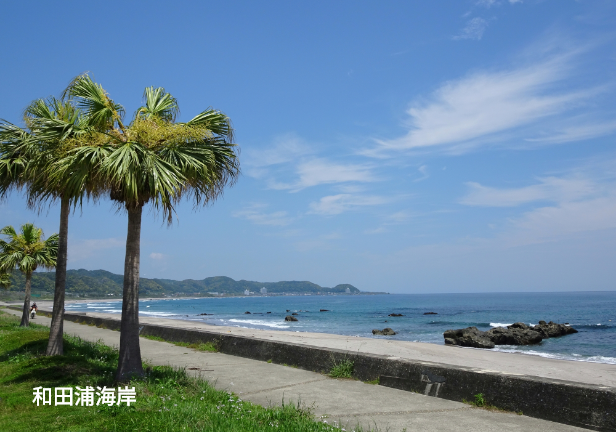和田浦海岸